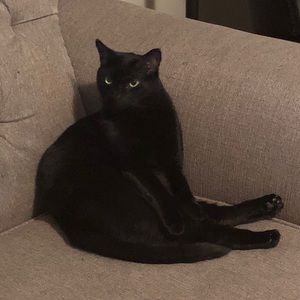 Meet your Posher, Anna